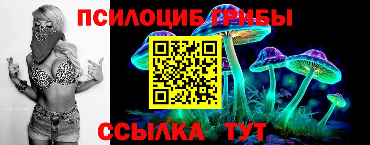 Галлюциногенные грибы Magic Shrooms  Вход с VPN  Свободный  Псилоцибиновые грибы ЛСД 